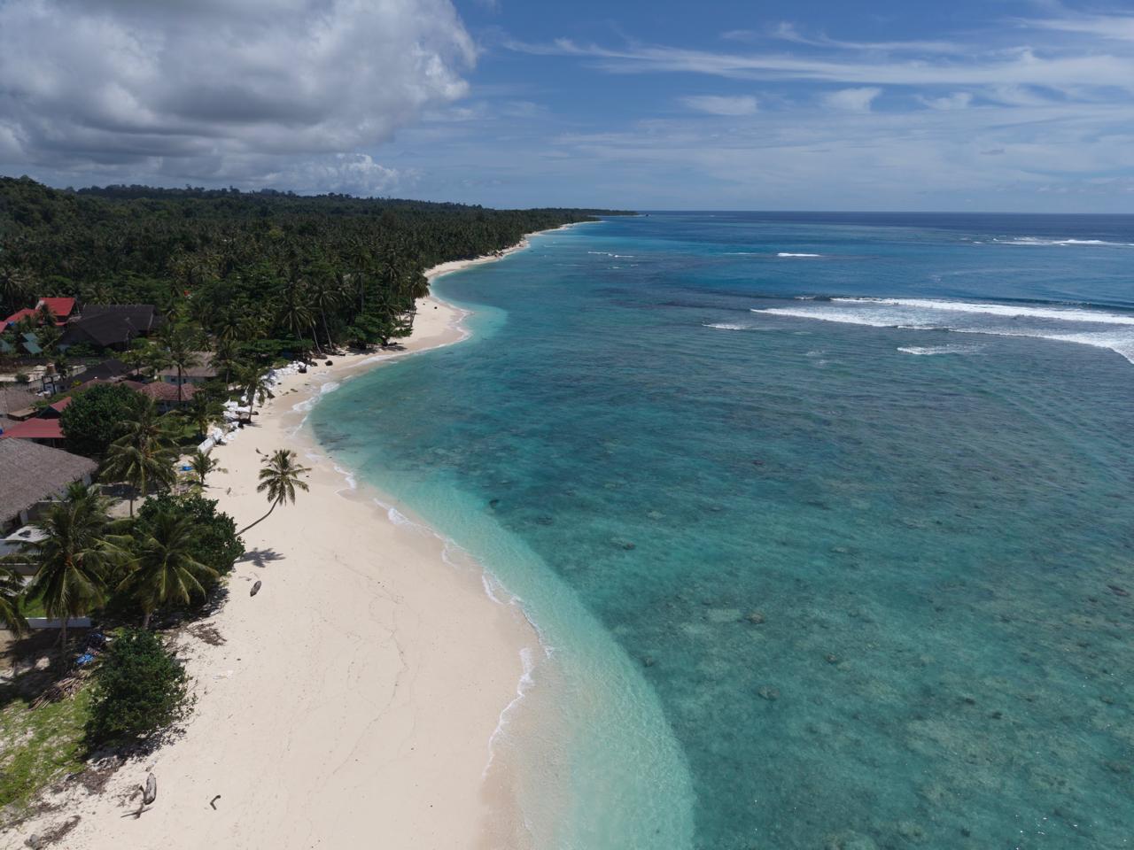 Drone footage still of Hollow Trees